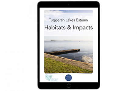 Tuggerah Lakes Estuary - Habitats and Impacts