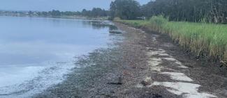Examples of poor nearshore water quality and wrack in water