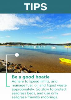 Be a good boatie