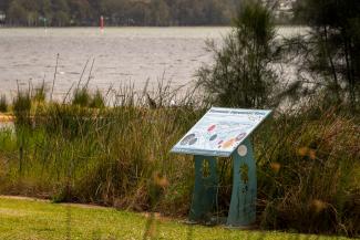 an estuary education sign at Long Jetty