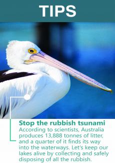 Stop the rubbish