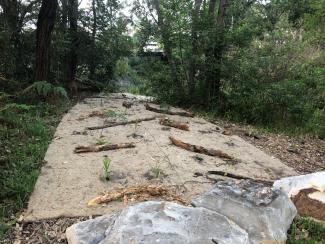 Elizabeth Bay Riparian Bush Regeneration, focusing on removing exotic weed species from the stream bank. Supplementary planting of native vegetation species of providence, streambank stabilization using eco-friendly jute matting as well as introducing branches as habitat.
