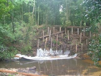 Ourimbah Creek log piling